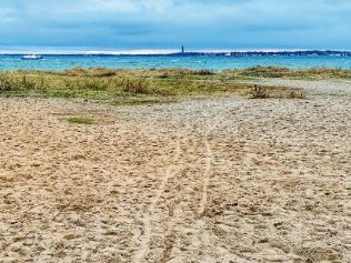 Sand